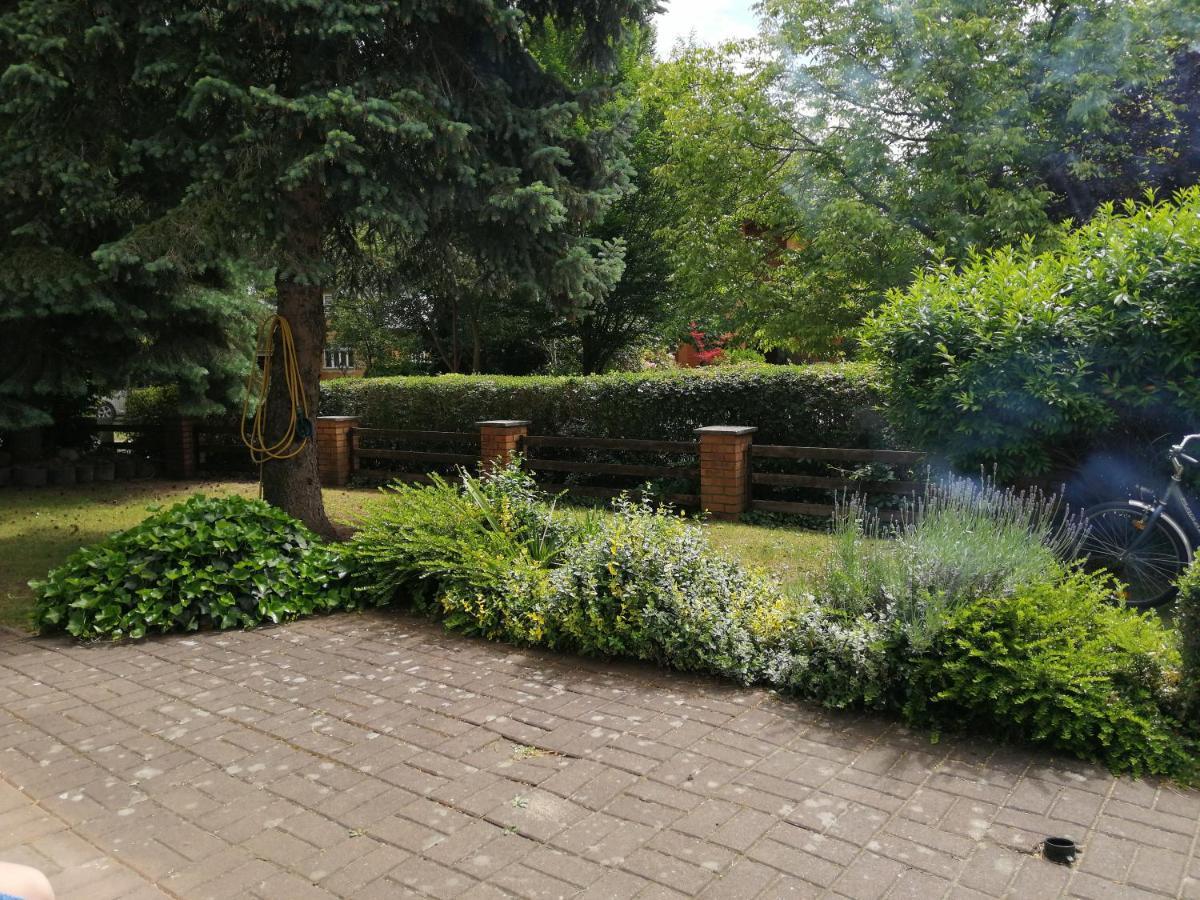 Ferienhaus Pauline Am See Müllrose Extérieur photo